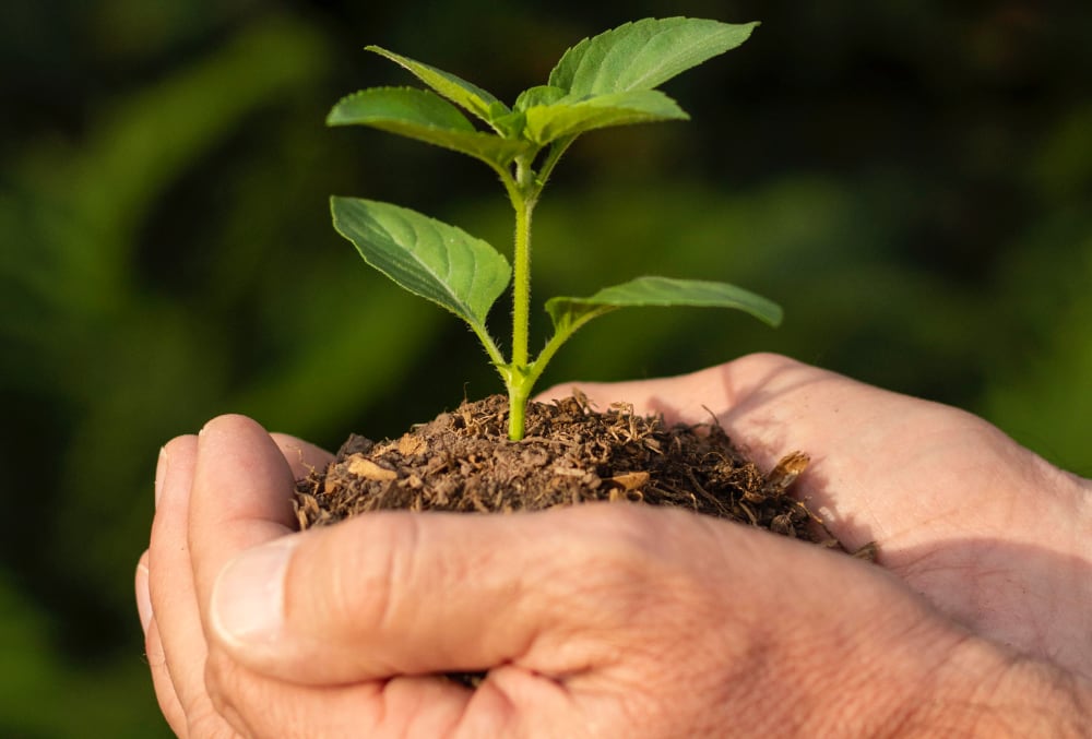 Personal Development & Growth
